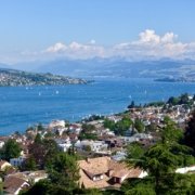 View of lake, residential area & Alps from elevated position