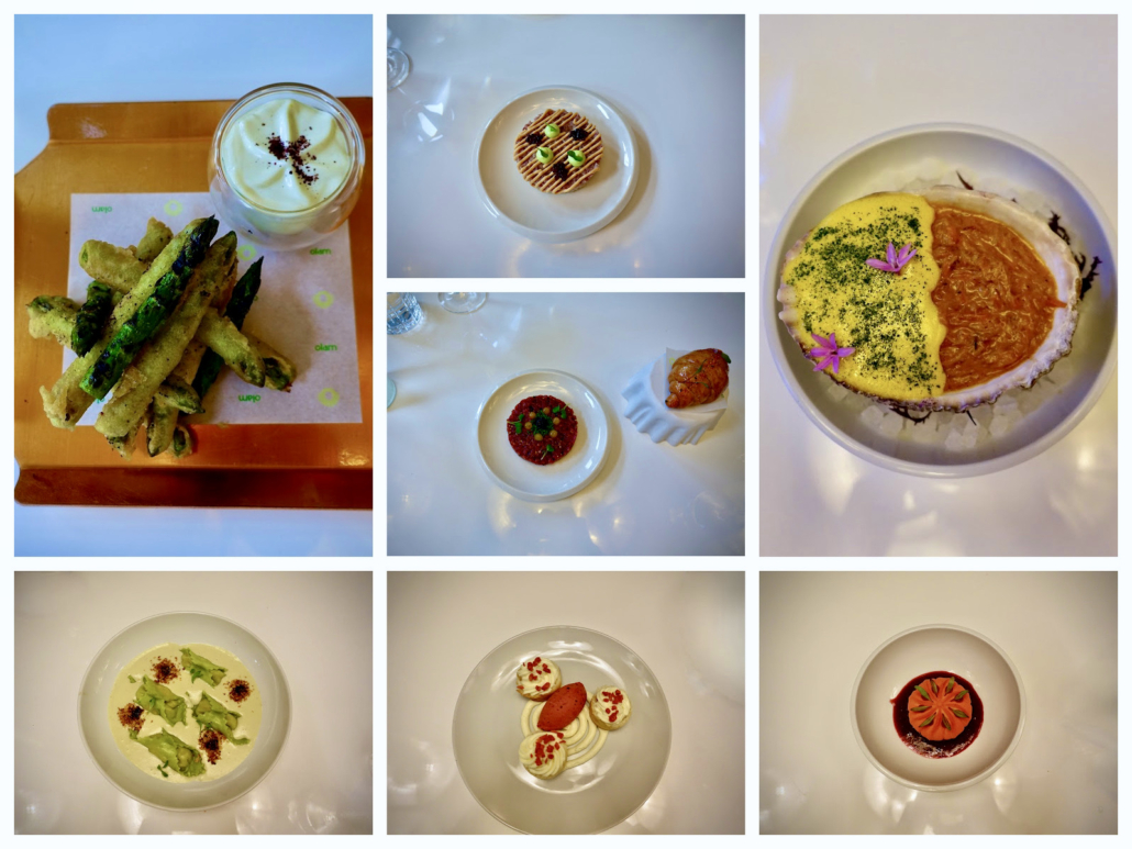 Restaurant Olam - best hotel & restaurants Santiago de Chile